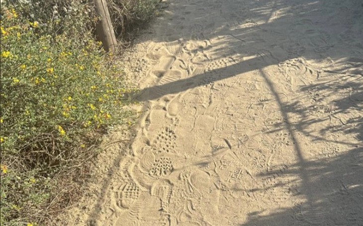 Mắt thần mới thấy được con chó ở đâu - Ảnh 9.