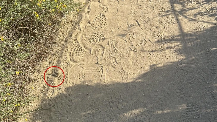 Mắt 10/10 - Ảnh 2.