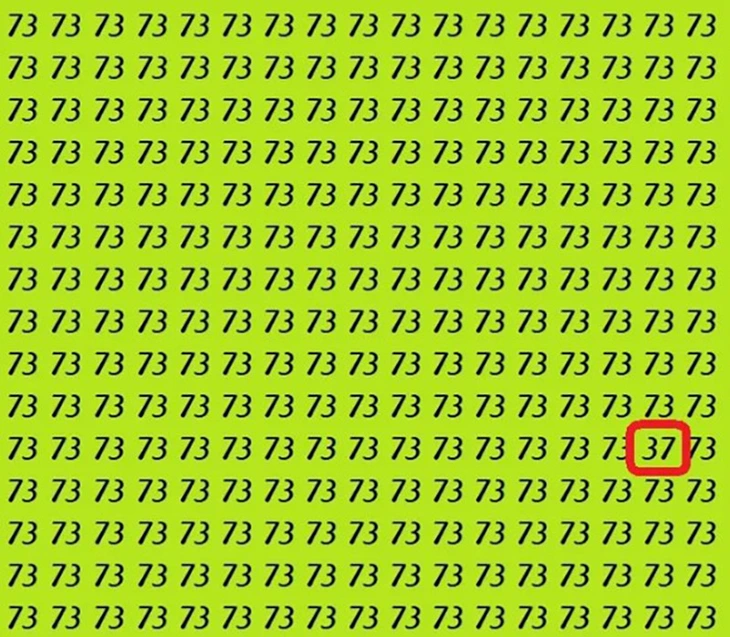 Mắt 10/10 - Ảnh 4.