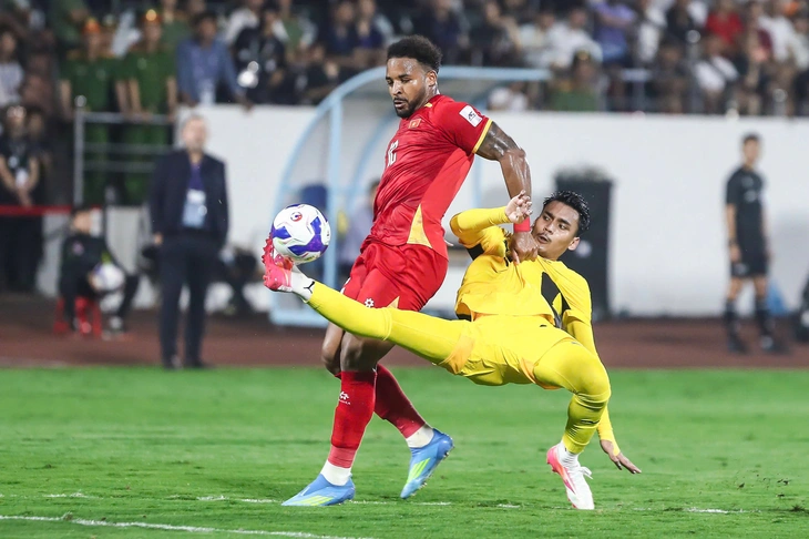 Việt Nam - Ảnh 1.