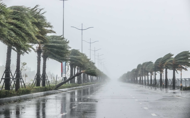 Ra mắt ứng dụng thời tiết Việt Nam, dự báo nắng mưa theo vị trí người dùng - Ảnh 3.