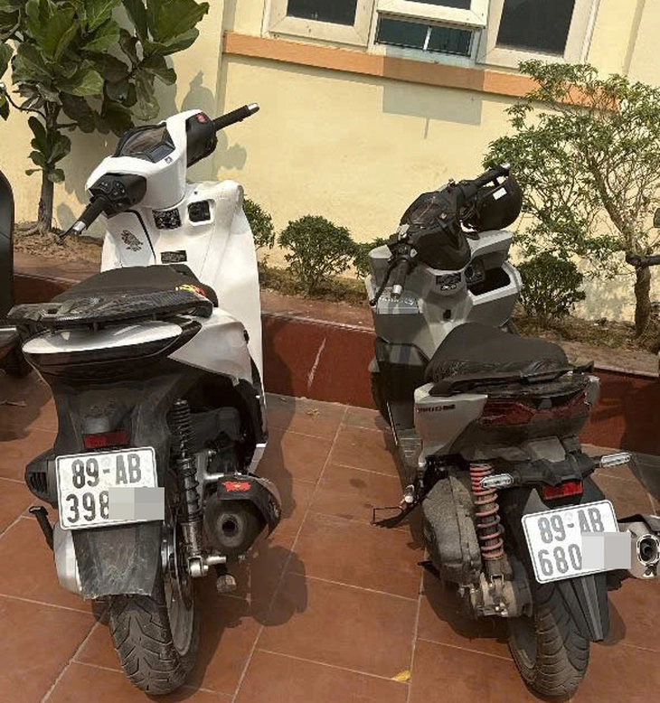 tịch thu - Ảnh 2.