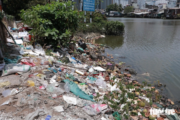 rác thải - Ảnh 4.