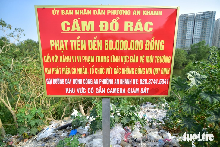 rác - Ảnh 10.