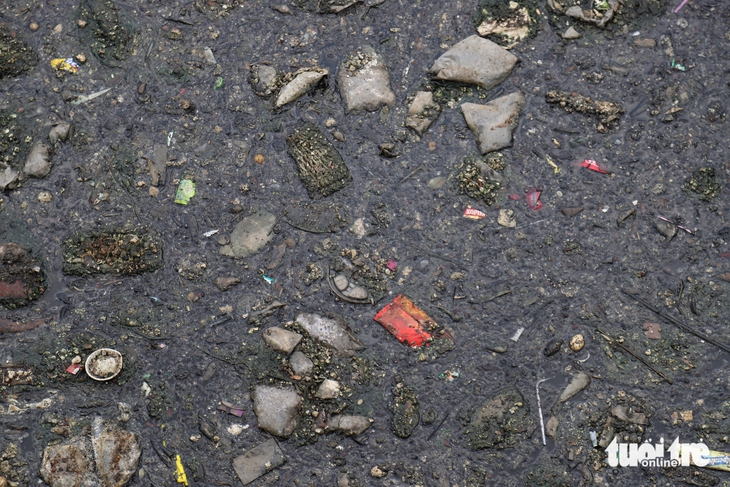 rác thải - Ảnh 7.