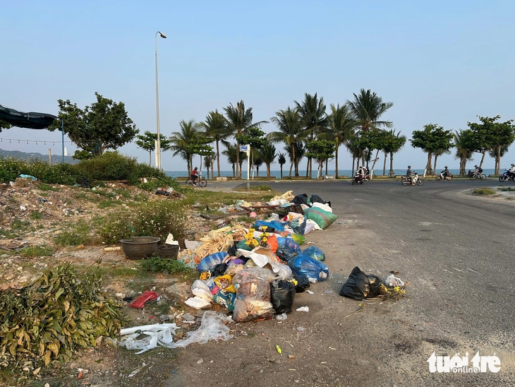 Rác thải ngổn ngang ven biển Sơn Trà - Ảnh 5.