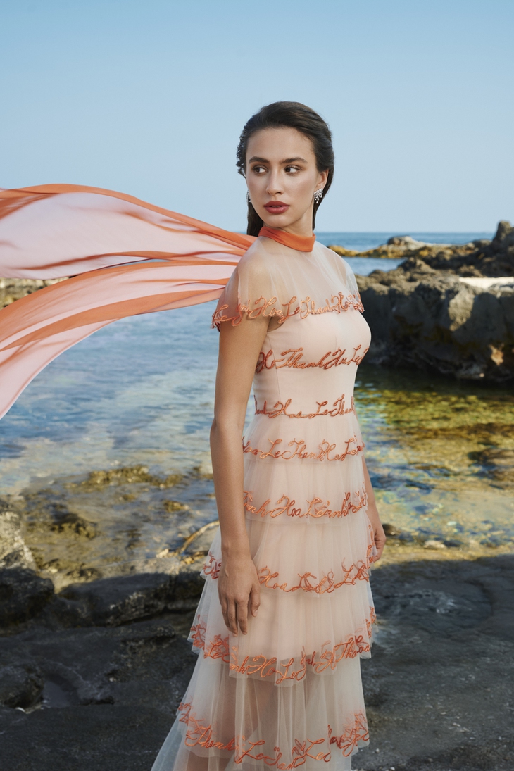 Lê Thanh Hòa - Ảnh 3.