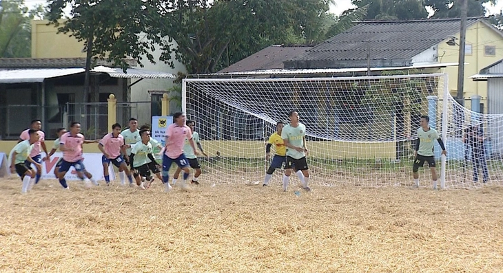 BÓNG ĐÁ NÔNG DÂN - Ảnh 1.