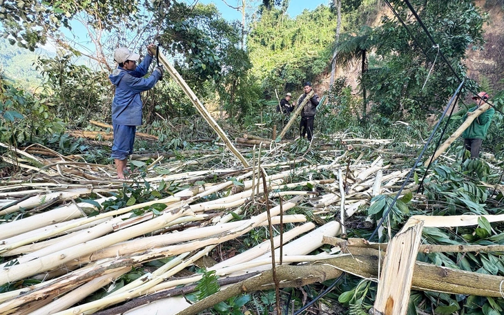 Rác thải ngổn ngang khu vực dưới chân bán đảo Sơn Trà - Ảnh 10.