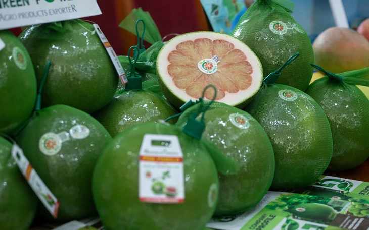 Đồng Tháp xuất khẩu lô bưởi đầu tiên sang Úc - Ảnh 3.