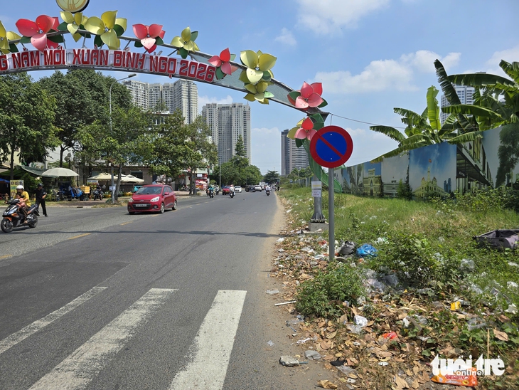 rác thải - Ảnh 8.