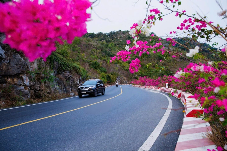 hải phòng - Ảnh 6.