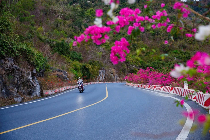 hải phòng - Ảnh 4.