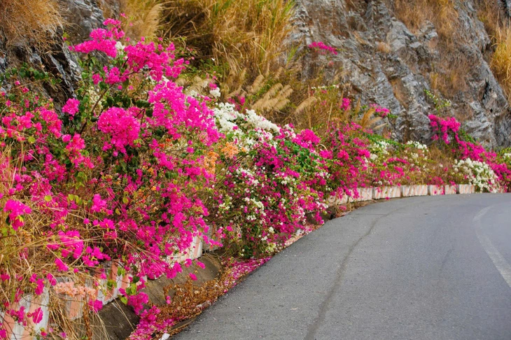 Cung đường Cát Bà đẹp như mơ - Ảnh 3.