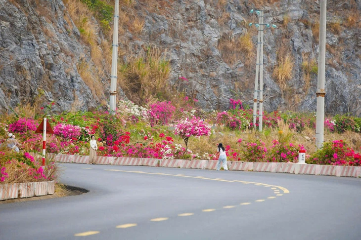 Cung đường Cát Bà đẹp như mơ - Ảnh 7.