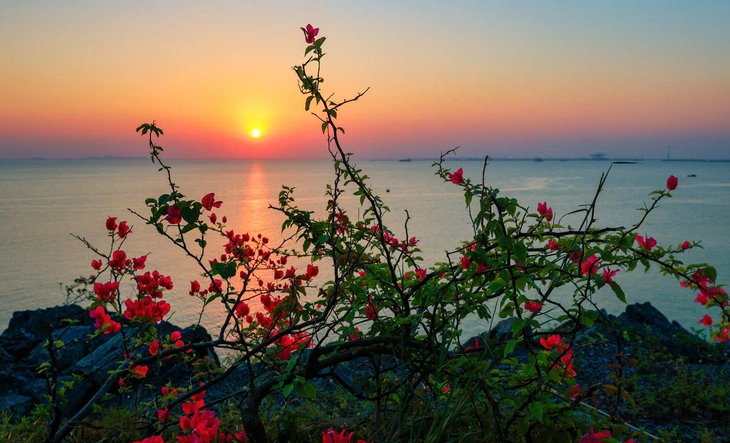 hải phòng - Ảnh 2.