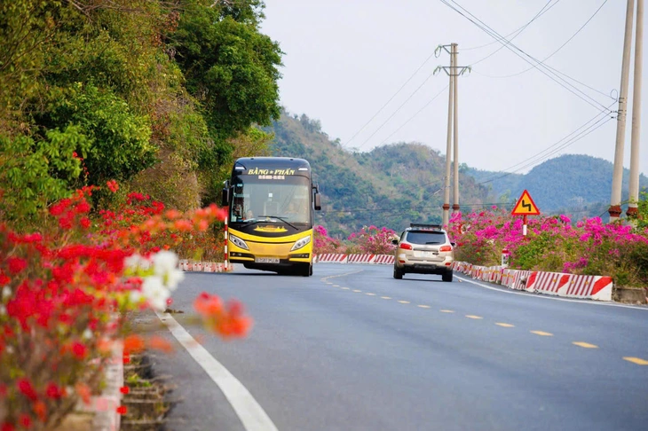 hải phòng - Ảnh 5.