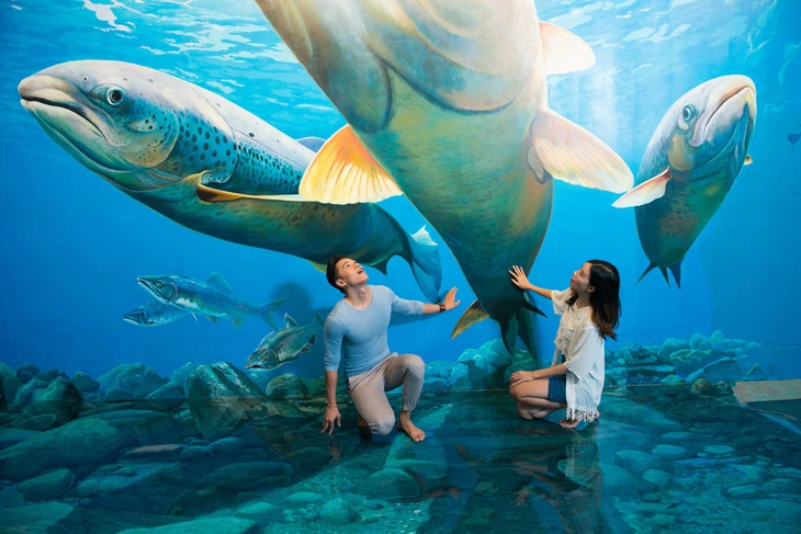 bảo tàng - Ảnh 4.