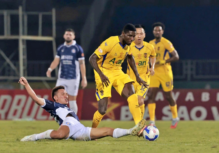 đỗ phi long - Ảnh 2.