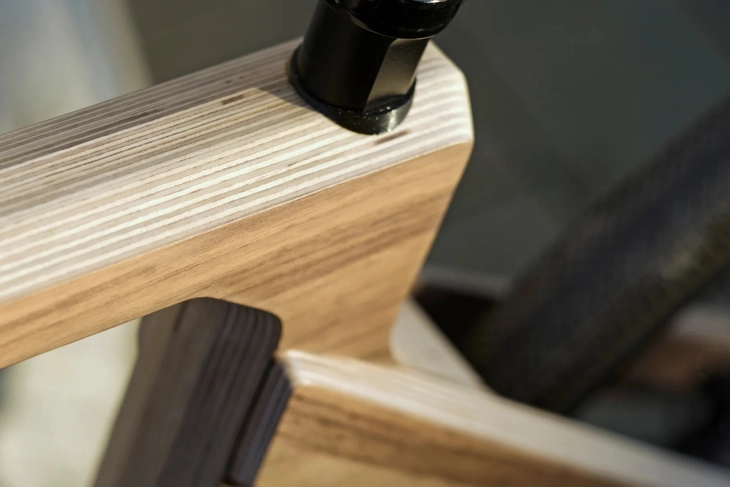 xe đạp điện - Ảnh 12.