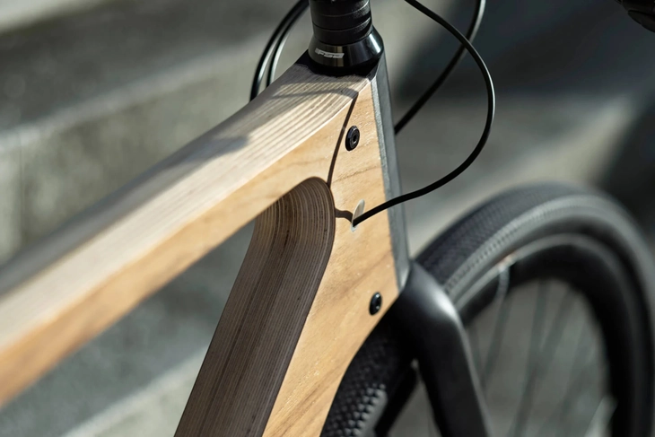 xe đạp điện - Ảnh 11.