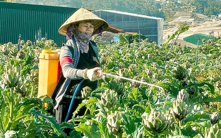 Sống cạnh nhau mà láng giềng như người lạ, do cách ăn ở của mình hay do hàng xóm? - Ảnh 3.