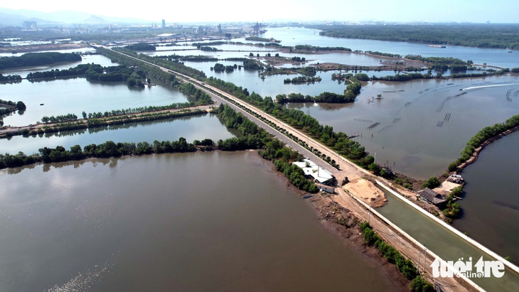 cầu Phước An - Ảnh 9.