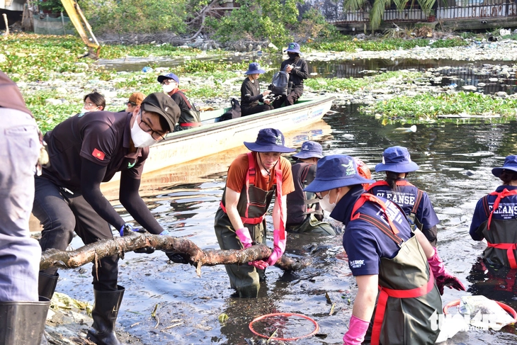 vớt rác - Ảnh 7.