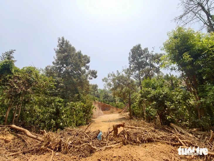 múc đất - Ảnh 9.