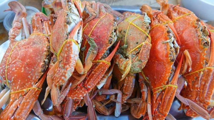 đảo Hải Tặc - Ảnh 4.