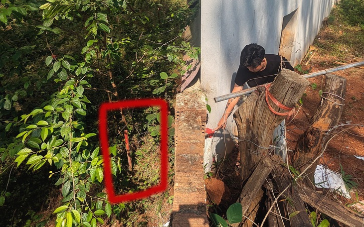 Gia Lai đấu giá khu 'đất vàng' khách sạn Sê San trung tâm Pleiku - Ảnh 3.