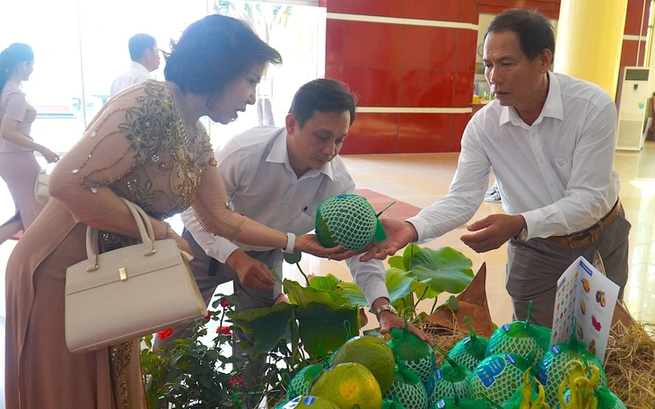 Vĩnh Long đang tích cực sớm đưa lô bưởi đầu tiên xuất khẩu sang Trung Quốc - Ảnh 3.
