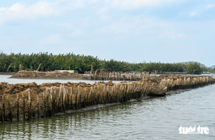 Bác khiếu nại của người bao chiếm đầm Đông Hồ - Ảnh 3.