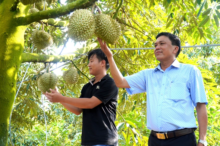 Tình trạng được mùa mất giá, điệp khúc trồng - chặt vẫn là điểm nóng ngành nông nghiệp - Ảnh 3.