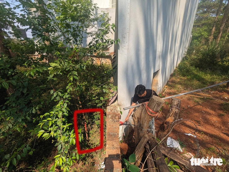 Măng Đen - Ảnh 2.