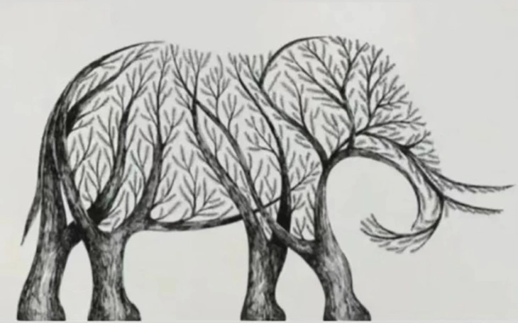 Quiz: Bạn rất tinh ý, nhạy bén với những chi tiết nhỏ? - Ảnh 4.