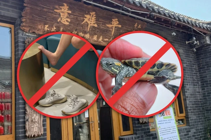 quán cà phê - Ảnh 1.