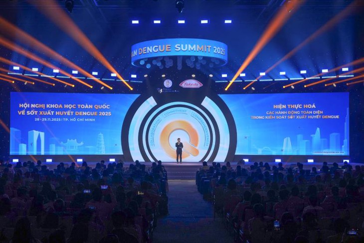 sốt xuất huyết - Ảnh 6.