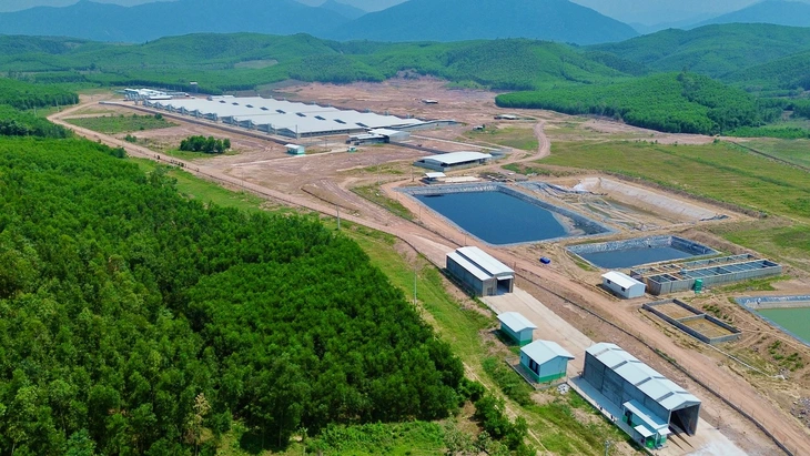 Mùi hôi từ trang trại nuôi heo bủa vây khu dân cư, dân phải đóng cửa cả ngày - Ảnh 1.