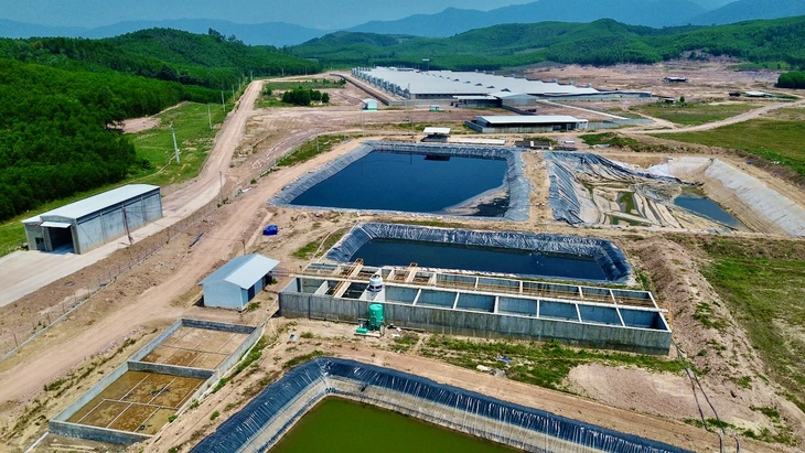 Mùi hôi từ trang trại nuôi heo bủa vây khu dân cư, dân phải đóng cửa cả ngày - Ảnh 5.