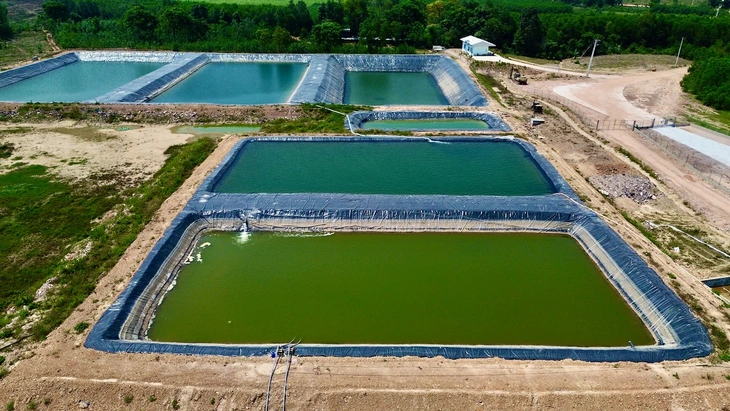 Mùi hôi từ trang trại nuôi heo bủa vây khu dân cư, dân phải đóng cửa cả ngày - Ảnh 2.