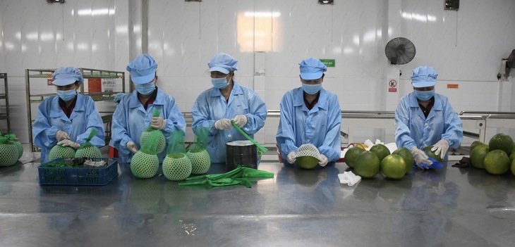 VĨNH LONG - Ảnh 1.