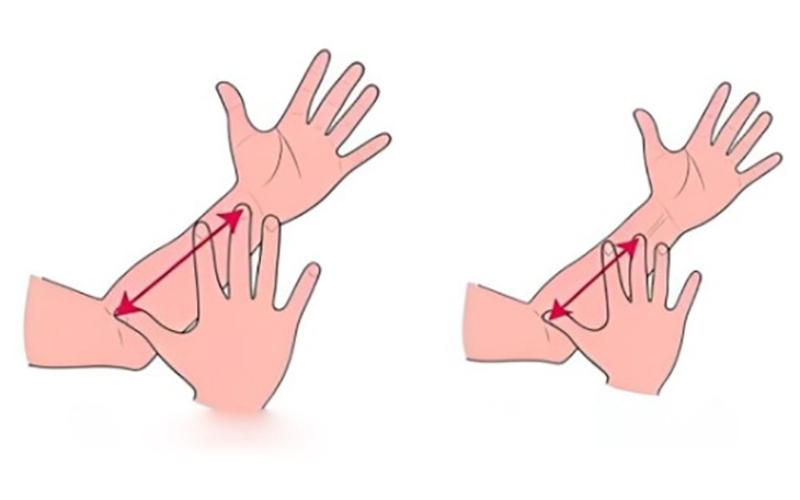 Quiz: Bạn là người tận tâm với gia đình và công việc? - Ảnh 2.
