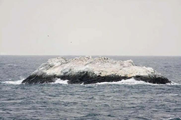 Bất ngờ phát hiện hòn đảo bí ẩn giữa 'vùng nguy hiểm' Nam Cực - Ảnh 2.