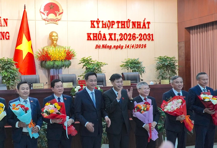 Ông Nguyễn Đức Dũng tái đắc cử Chủ tịch HĐND TP Đà Nẵng - Ảnh 1.