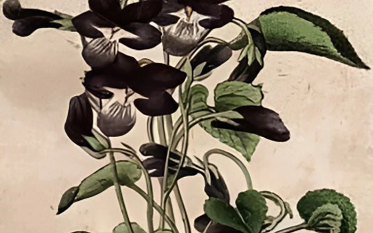 Rèn luyện trí não với câu đố toán học (P5) - Ảnh 3.