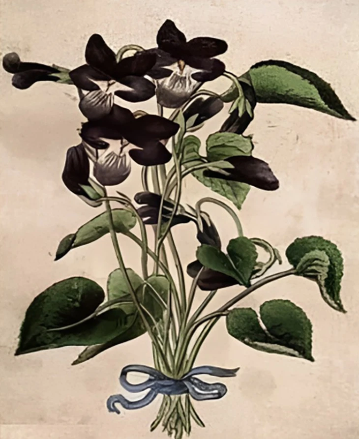 Thử tài tinh mắt - Ảnh 1.