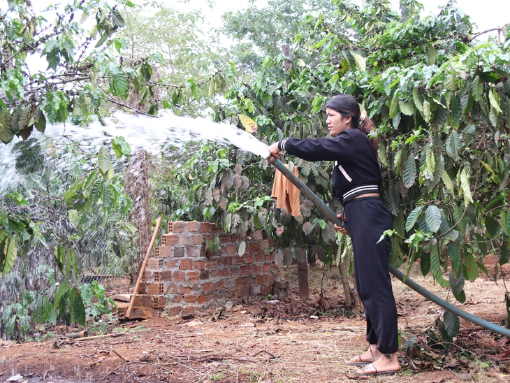 PC Gia Lai - Ảnh 2.