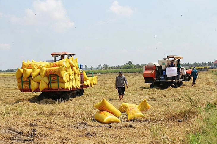 thuế suất 0% - Ảnh 2.