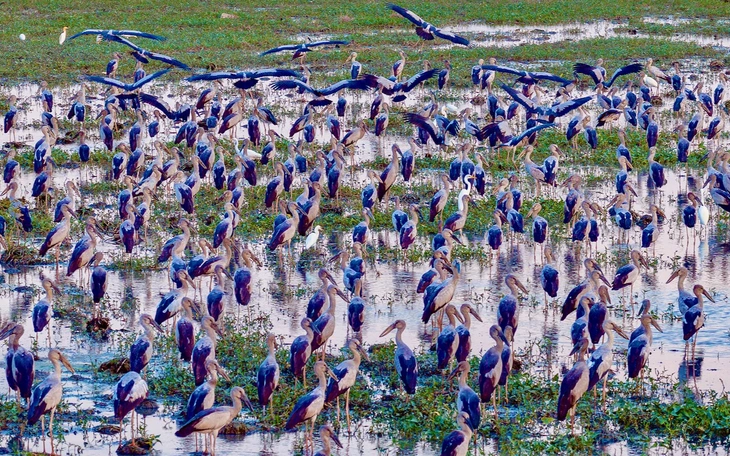 'Bãi biển Sơn Hòa' nơi giải nhiệt của dân vùng núi - Ảnh 17.